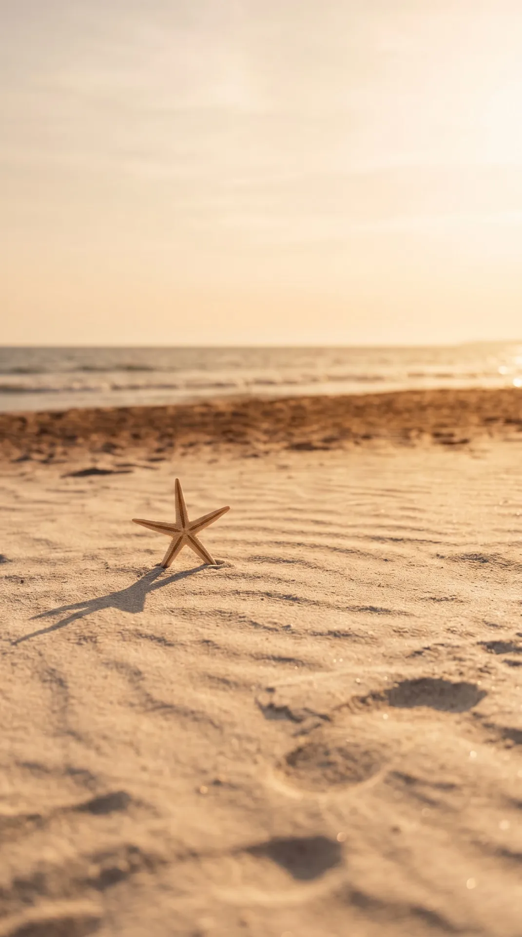 Sandy beach with starfish - MARITZA brand story