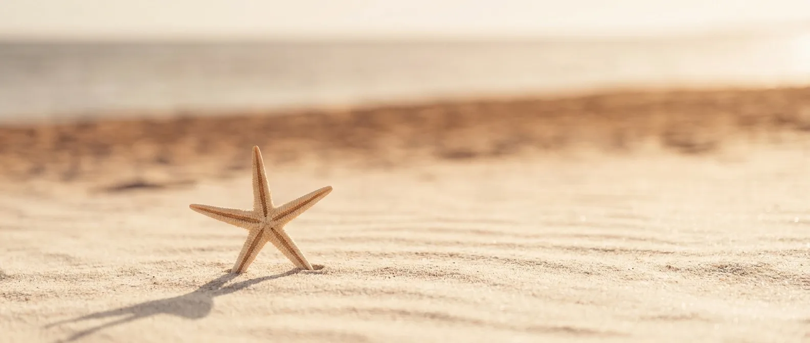 Sandy beach with starfish - MARITZA brand story